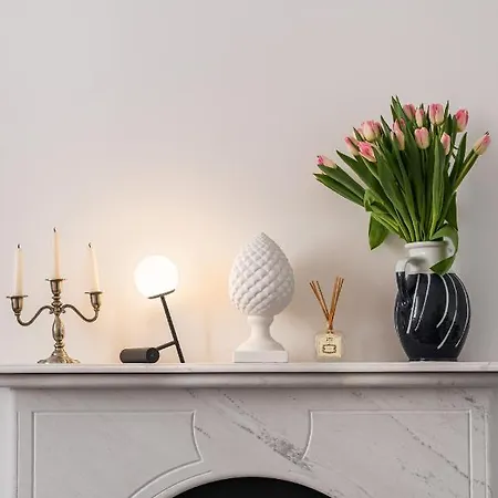 Daire 22suitedreamer *